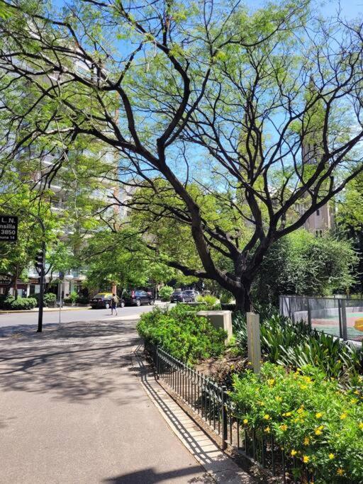 Apartamento Dpto 2 Amb En Palermo A 300mts Av Santa Fe Y Subte D Ciudad Autónoma de Buenos Aires